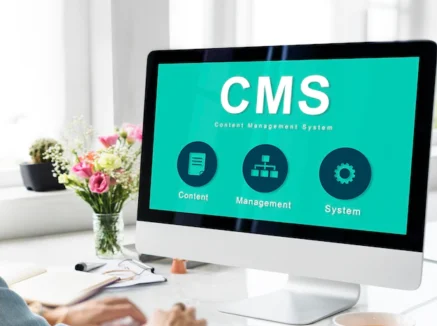 Cms Web Development